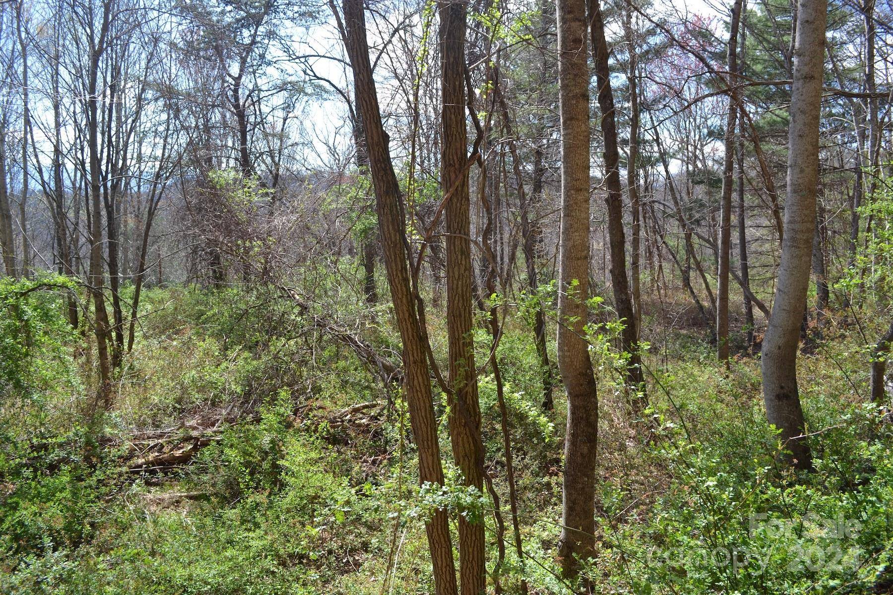 Lot 8 Town Mountain RD, Asheville, NC 28804