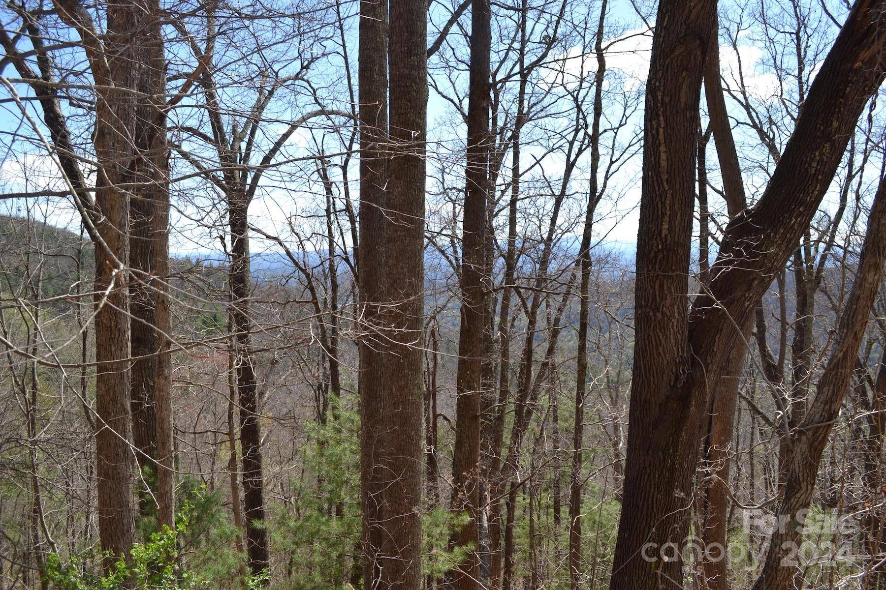 Lot 8 Town Mountain RD, Asheville, NC 28804