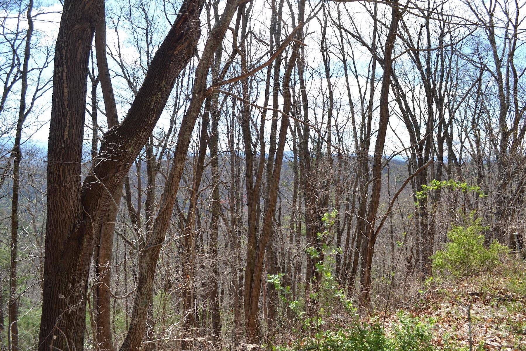Lot 8 Town Mountain RD, Asheville, NC 28804
