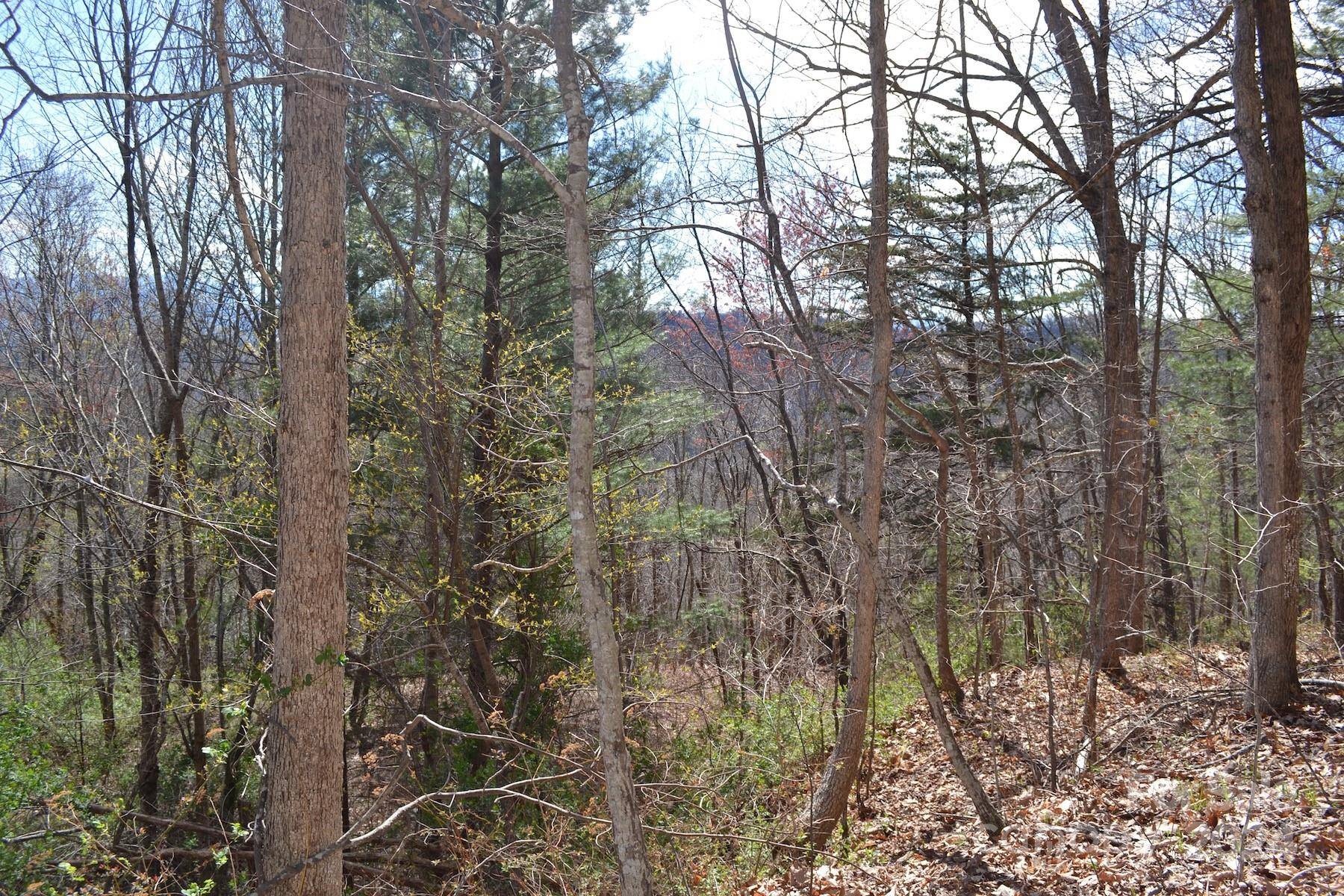 Lot 8 Town Mountain RD, Asheville, NC 28804