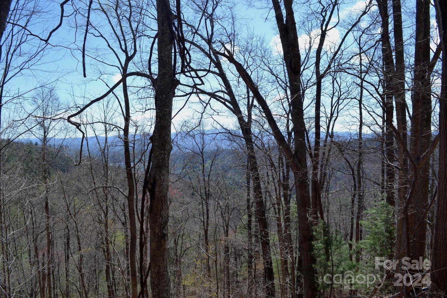 Lot 9 Town Mountain RD, Asheville, NC 28804