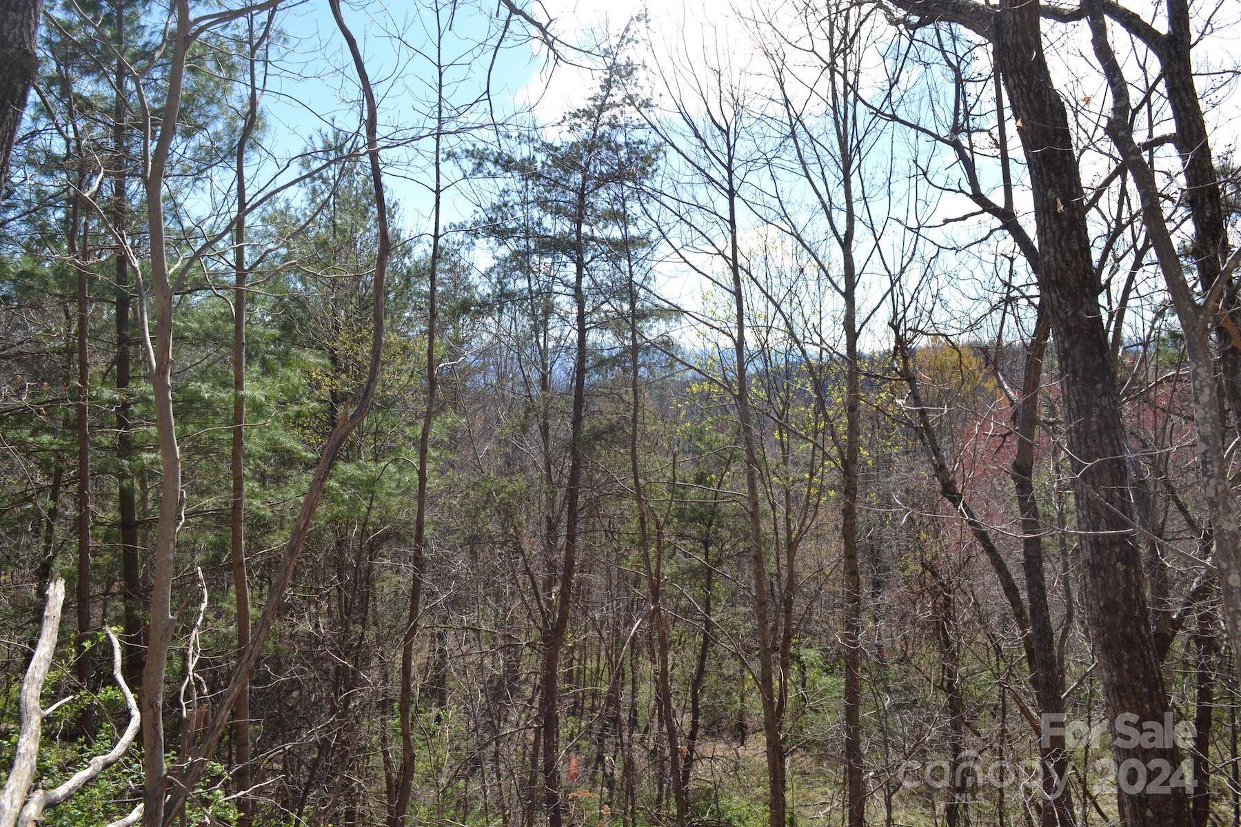 Lot 9 Town Mountain RD, Asheville, NC 28804