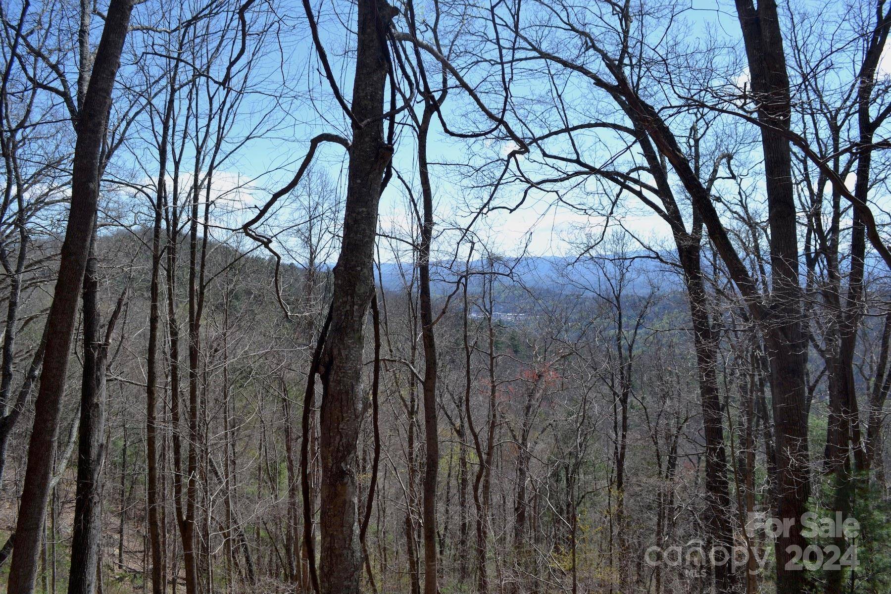 Lot 9 Town Mountain RD, Asheville, NC 28804