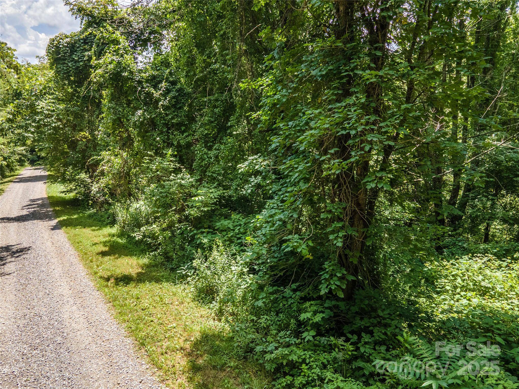 00 Troutman TRL, Leicester, NC 28748