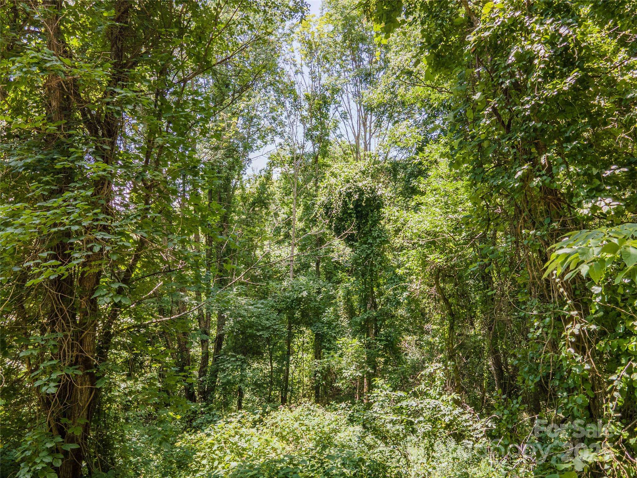 00 Troutman TRL, Leicester, NC 28748