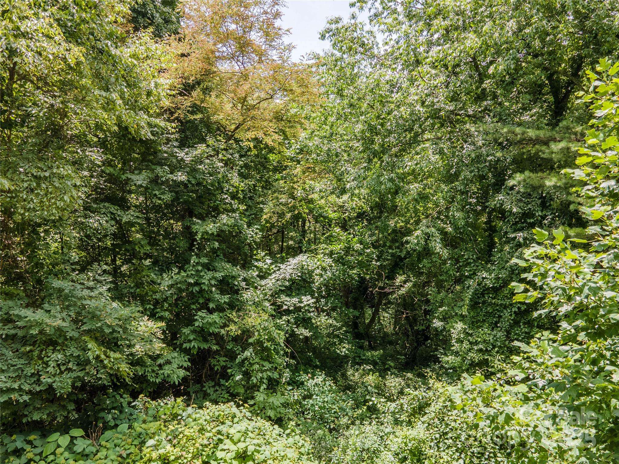 00 Troutman TRL, Leicester, NC 28748