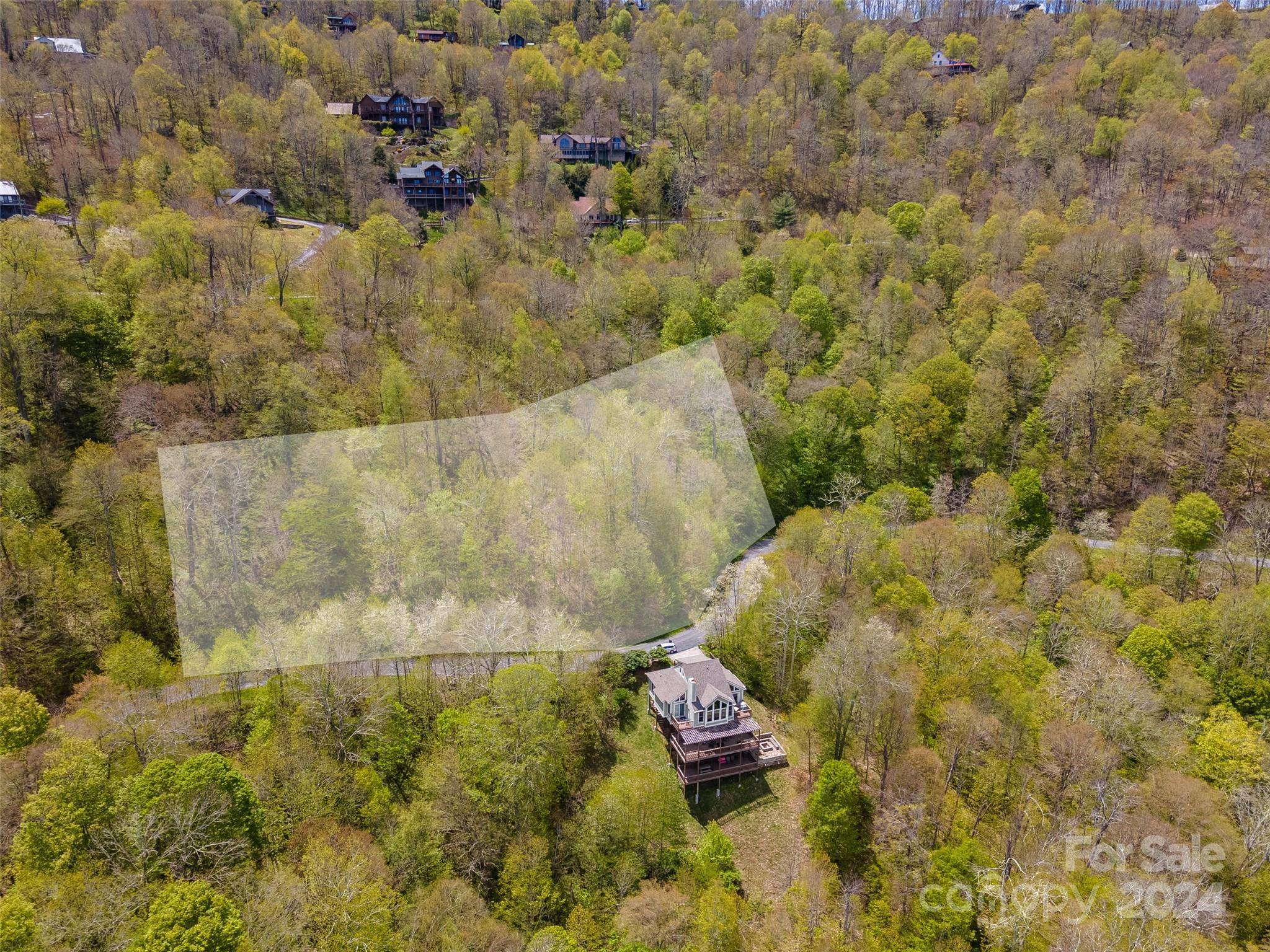 93 Goldenleaf RD #93 & 95, Mars Hill, NC 28754
