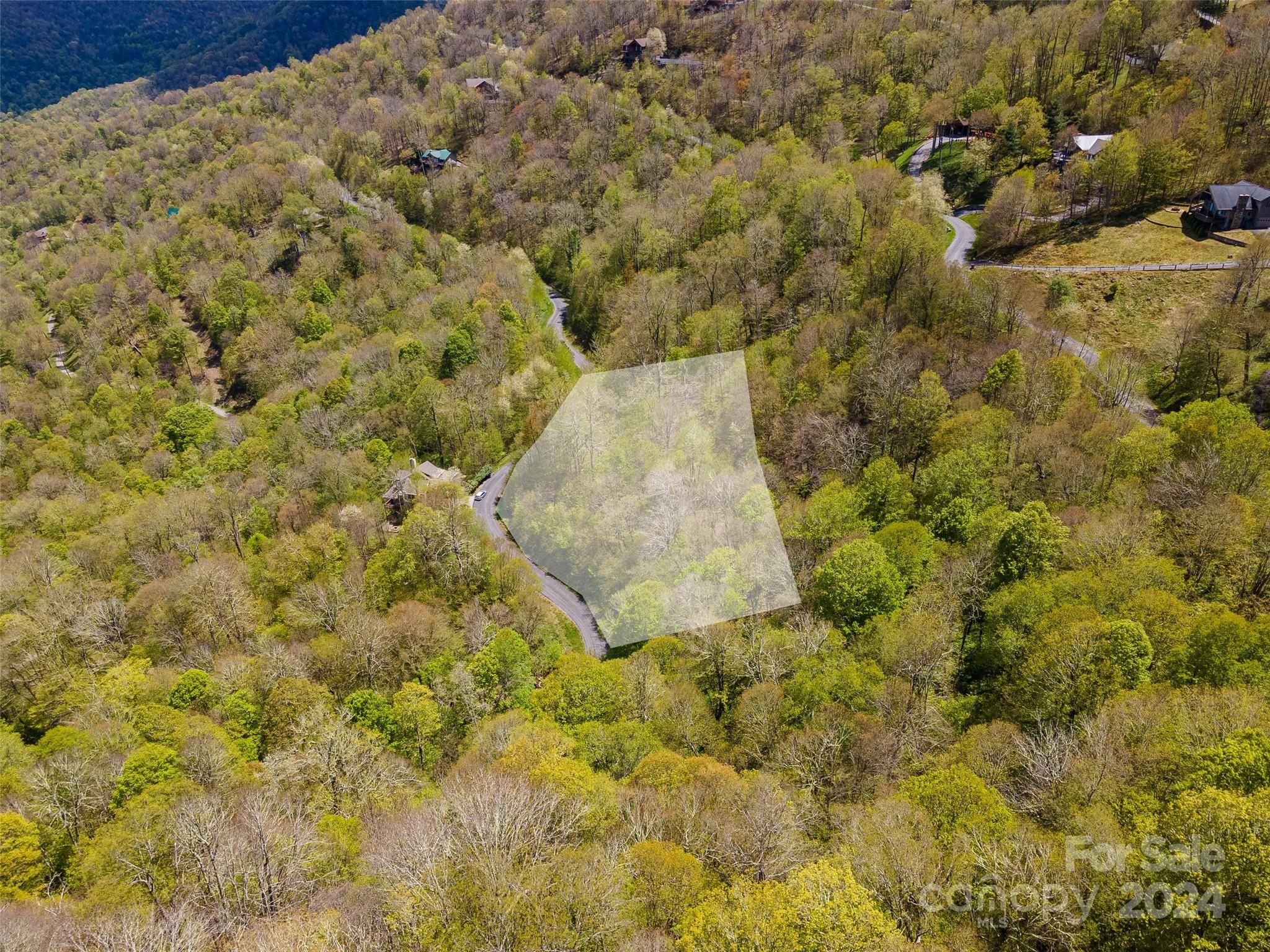 93 Goldenleaf RD #93 & 95, Mars Hill, NC 28754