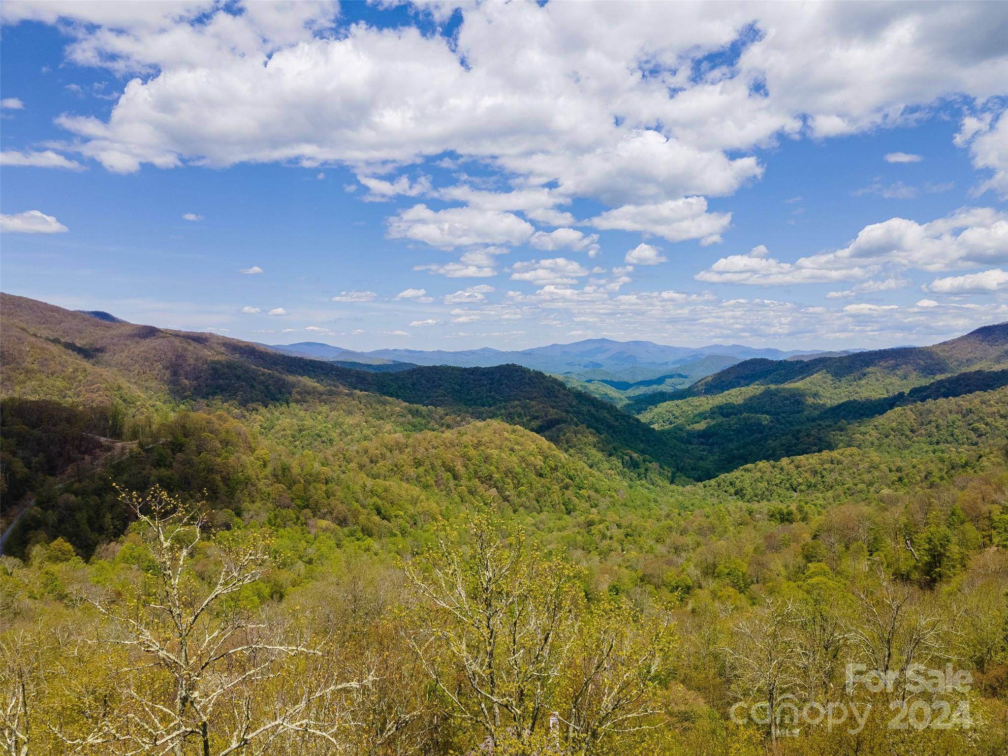 93 Goldenleaf RD #93 & 95, Mars Hill, NC 28754