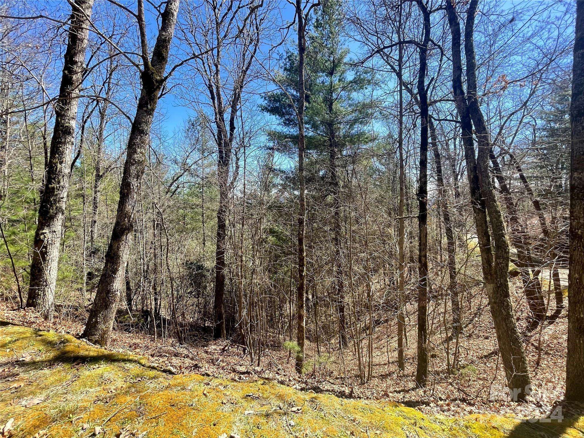 Lot 3 on Saturn WAY #3, Bryson City, NC 28781