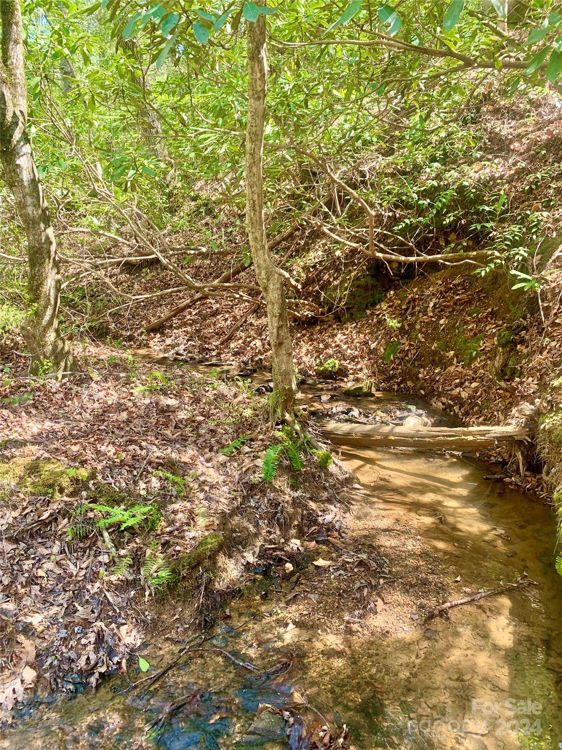 4.73 acres, Lot 376 Table View LN #376, Lenoir, NC 28645