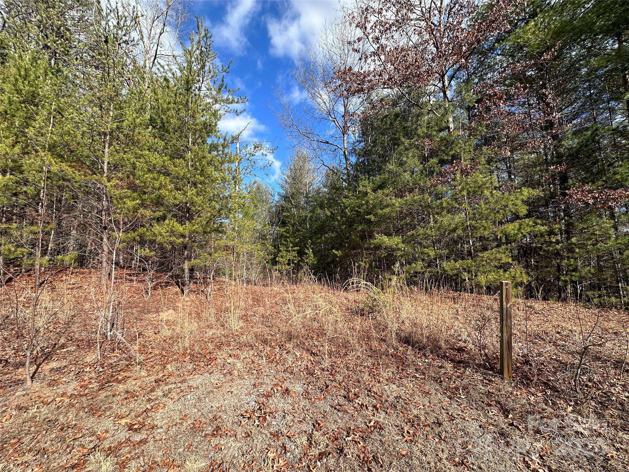 0 Conroy CT #85, Lenoir, NC 28645