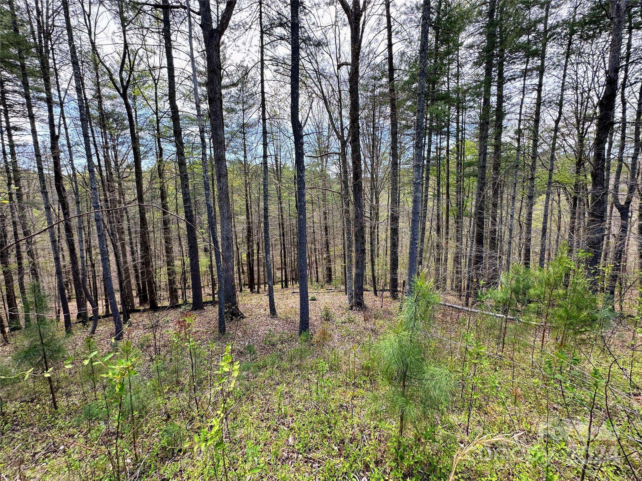 234 E Settings BLVD NW #67, Valdese, NC 28609
