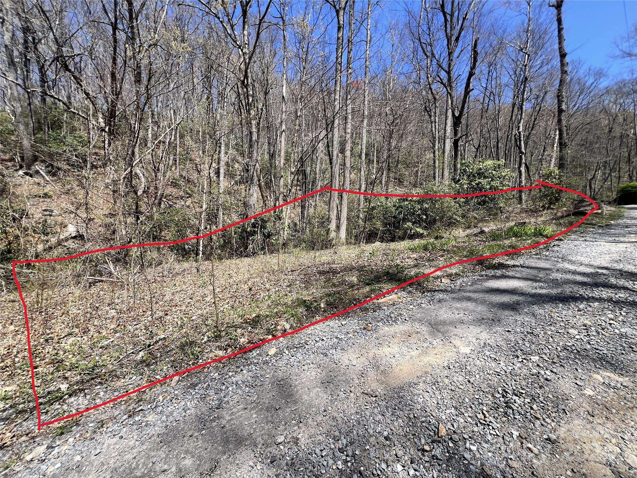 000 Pisgah Mountain RD, Canton, NC 28716