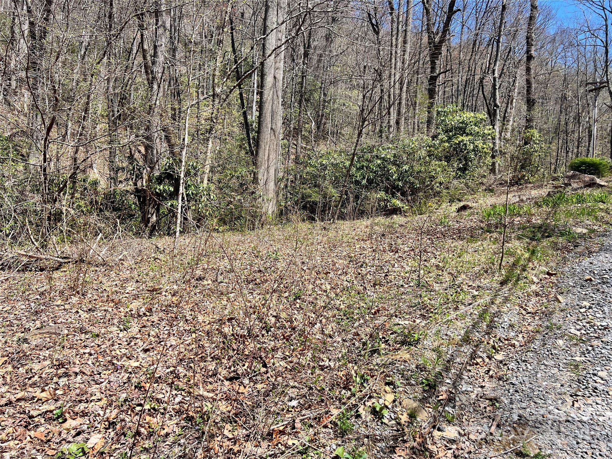000 Pisgah Mountain RD, Canton, NC 28716