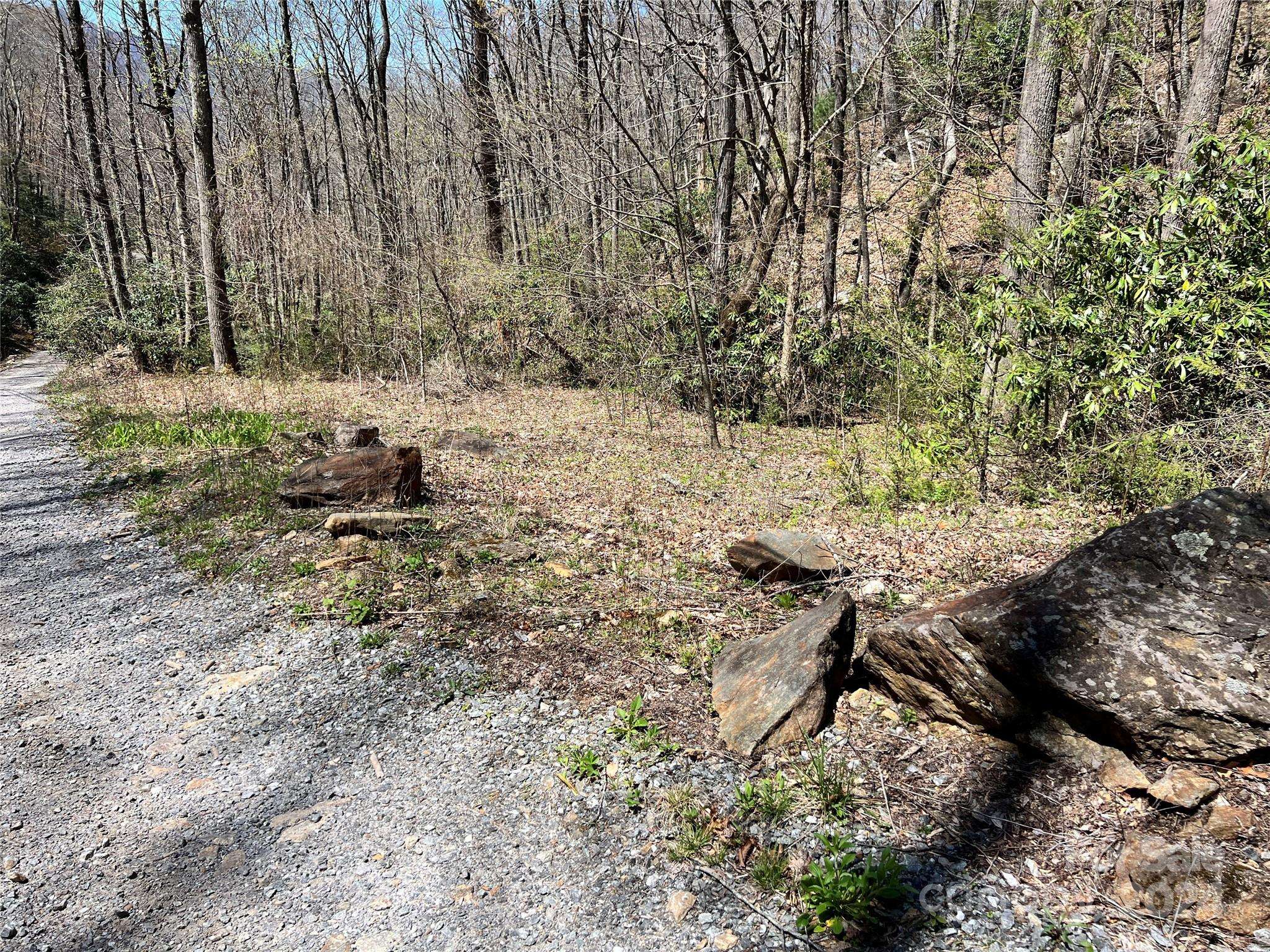 000 Pisgah Mountain RD, Canton, NC 28716