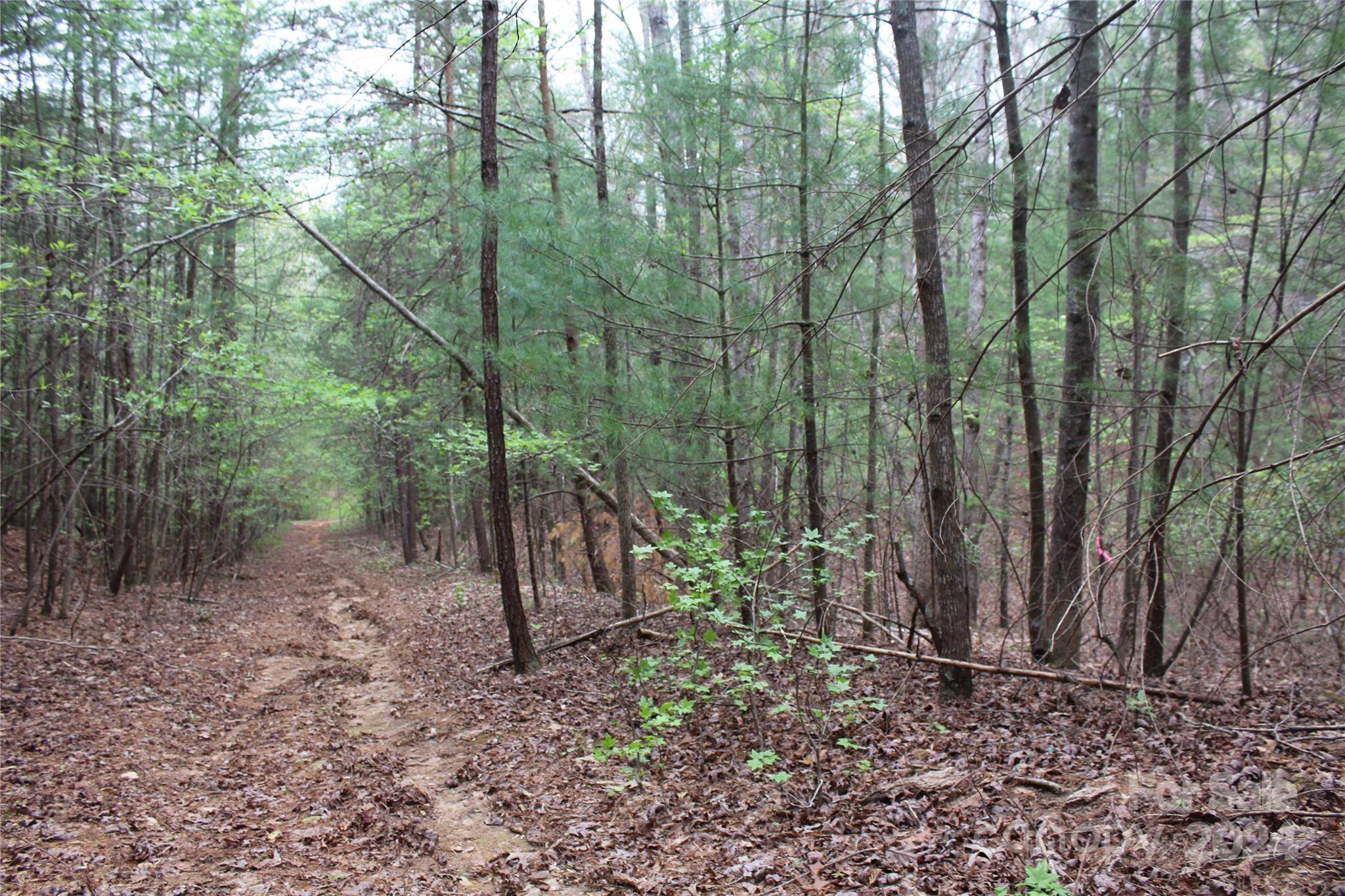 350 Sycamore AVE NW #6 & 2, Valdese, NC 28690