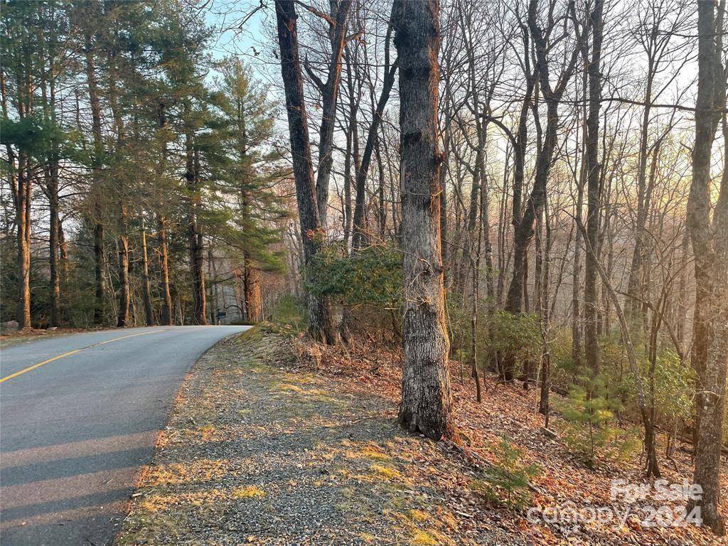 TBD Connestee TRL, Brevard, NC 28712