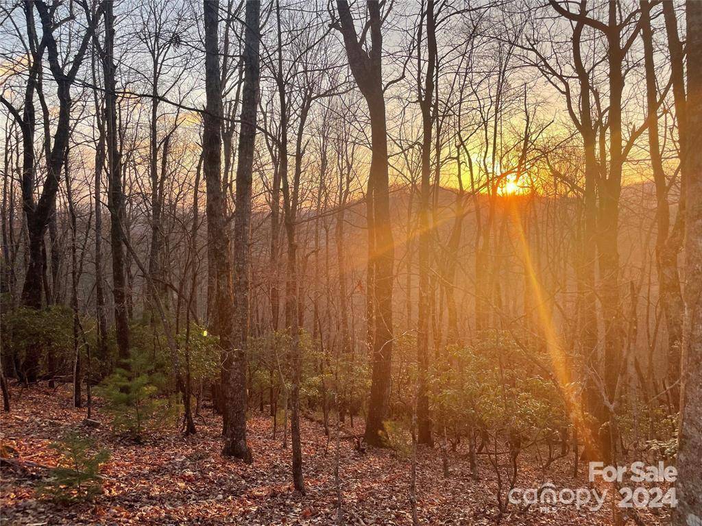 TBD Connestee TRL, Brevard, NC 28712