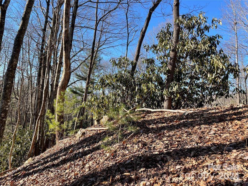 TBD Tsuganawvi CT, Brevard, NC 28712