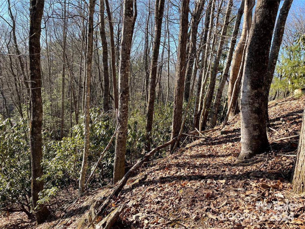 TBD Tsuganawvi CT, Brevard, NC 28712