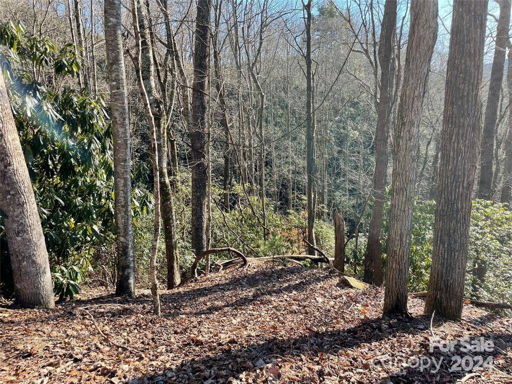 TBD Tsuganawvi CT, Brevard, NC 28712