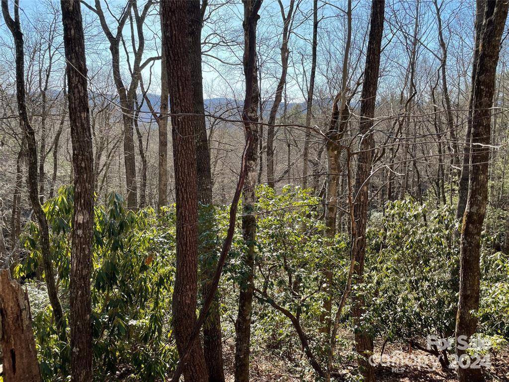 TBD Tsuganawvi CT, Brevard, NC 28712