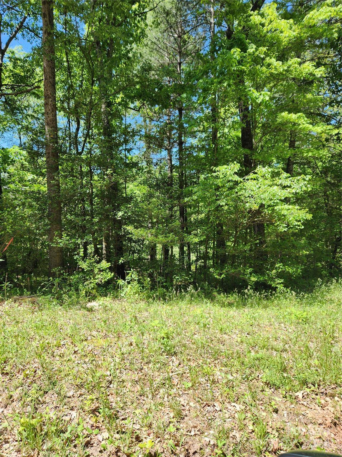 9 Tadpole LN, Taylorsville, NC 28681