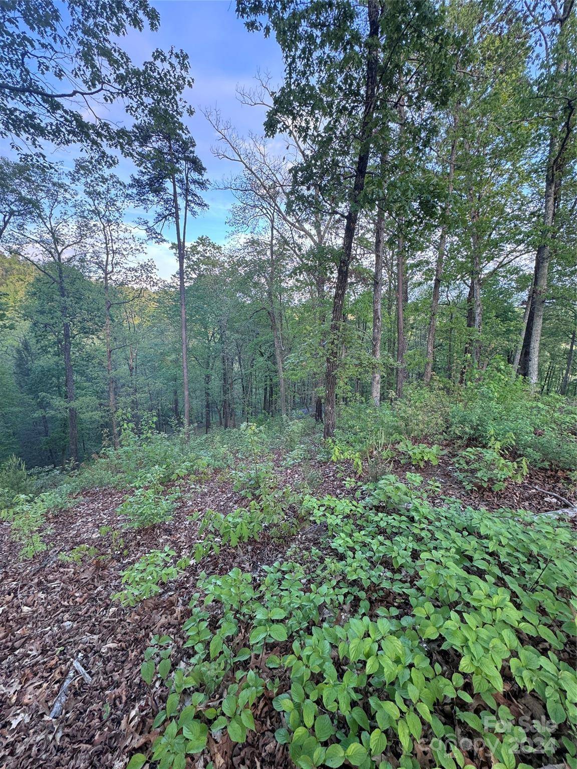0 Willow Top LN #315, Lake Lure, NC 28746