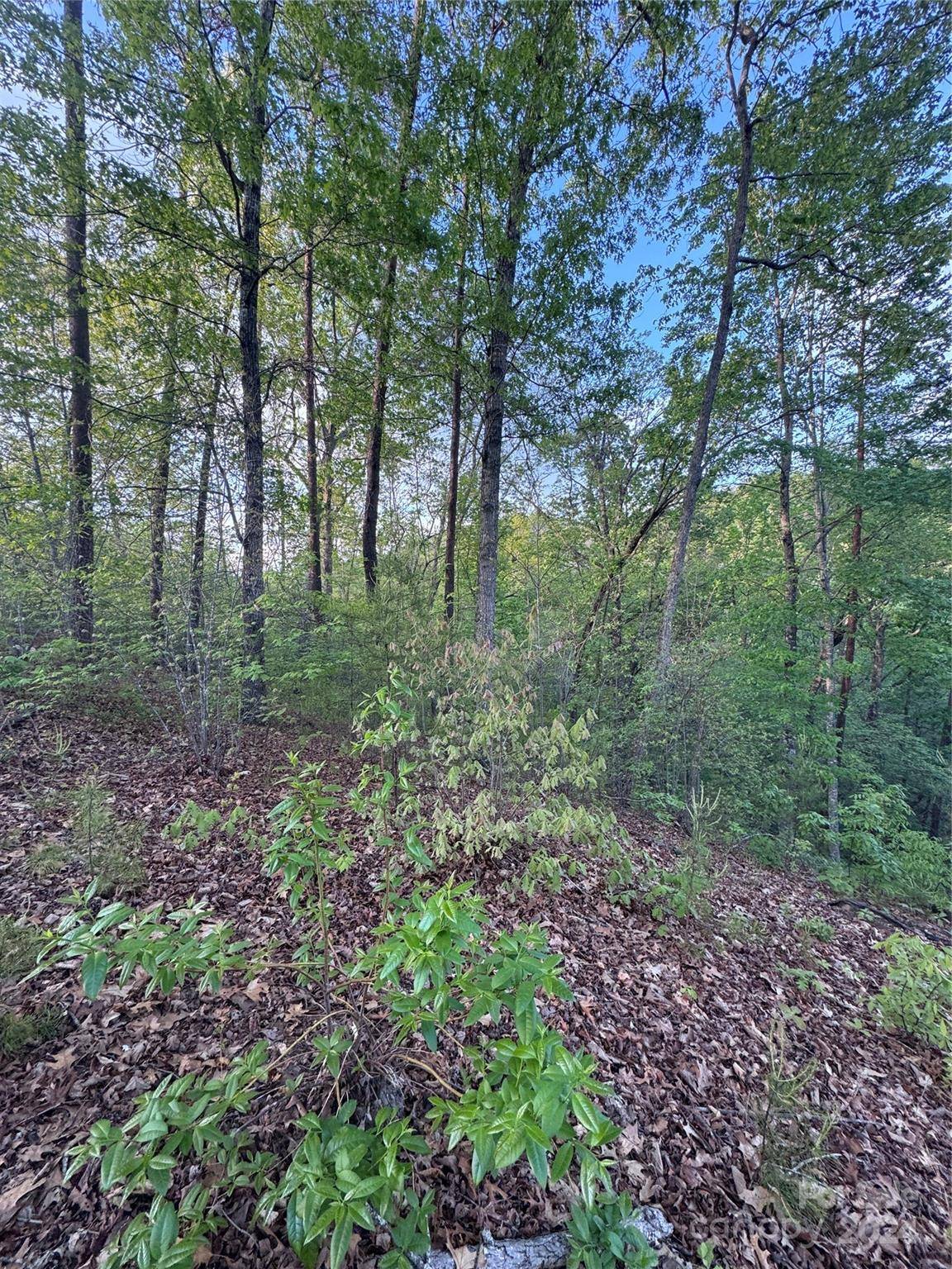 0 Willow Top LN #315, Lake Lure, NC 28746