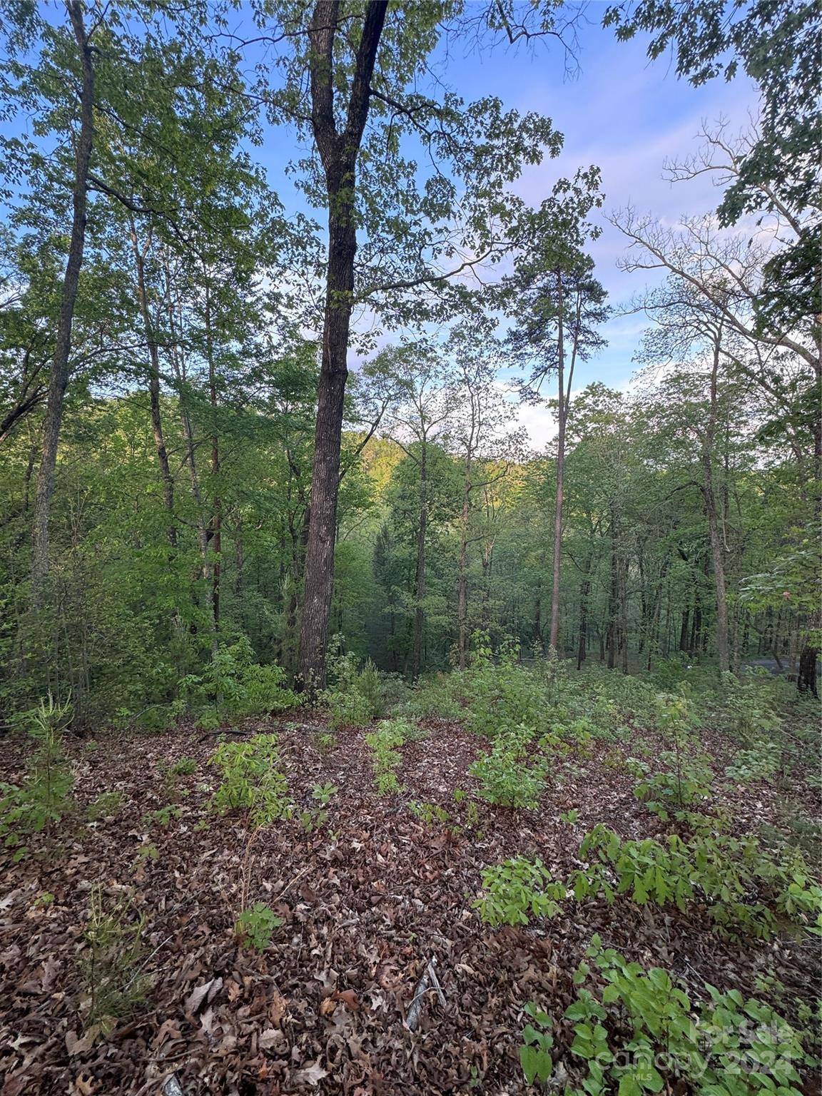 0 Willow Top LN #315, Lake Lure, NC 28746