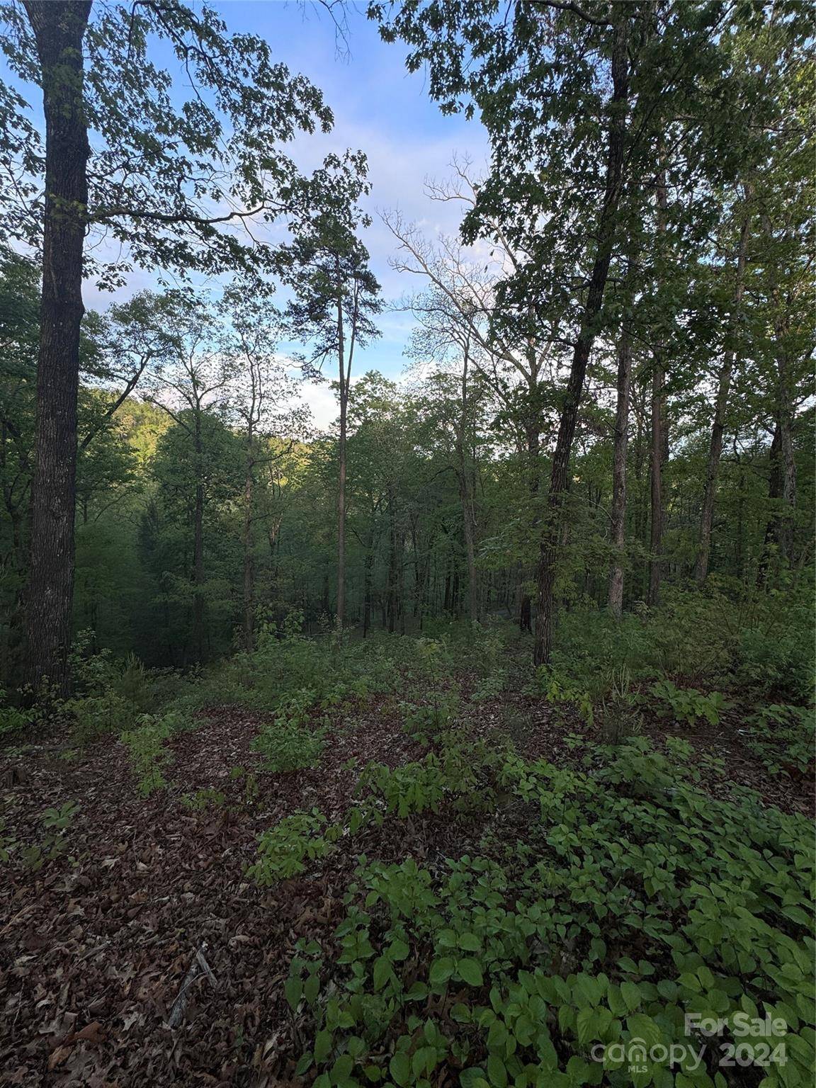 0 Willow Top LN #315, Lake Lure, NC 28746