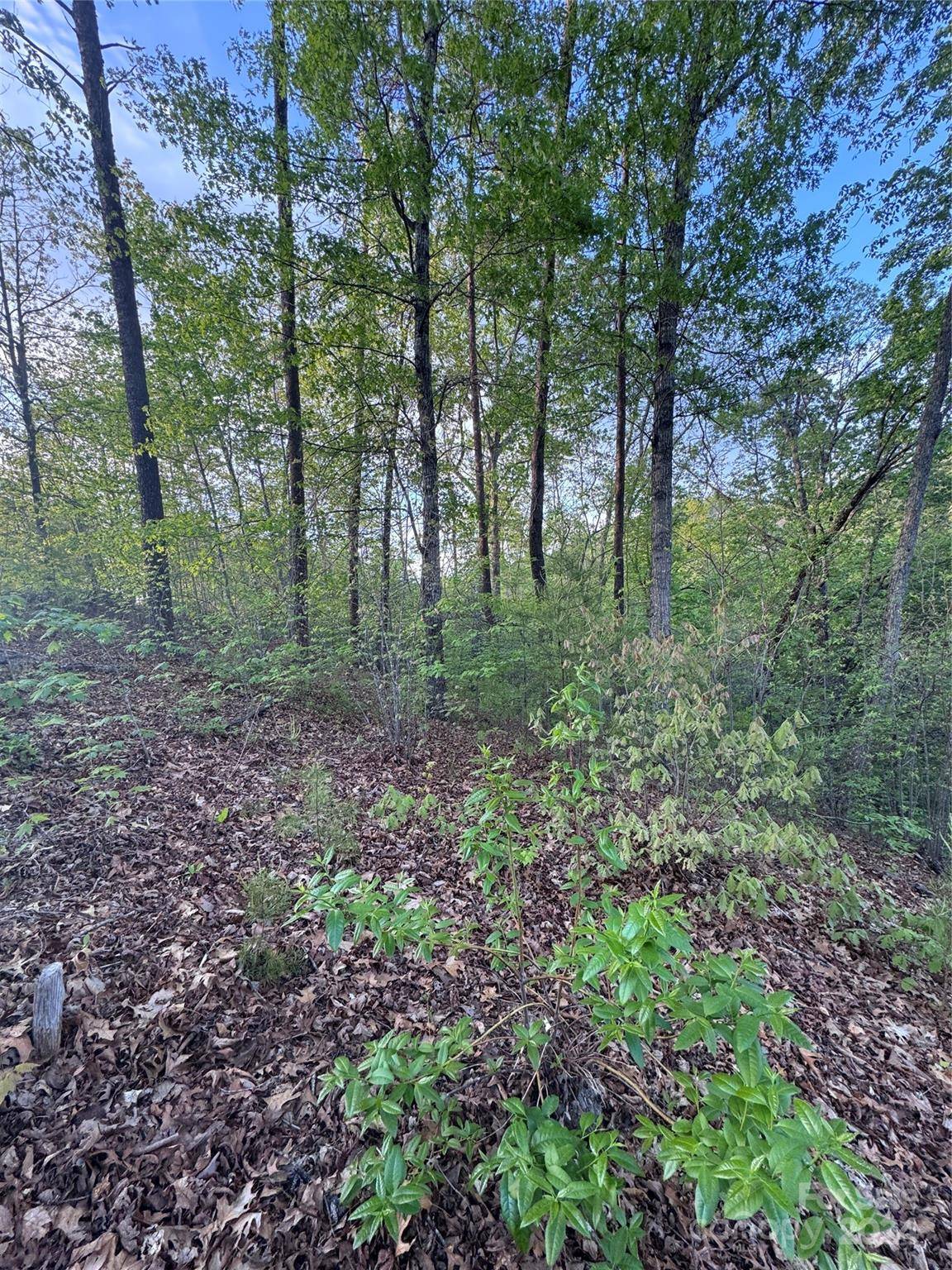 0 Willow Top LN #315, Lake Lure, NC 28746
