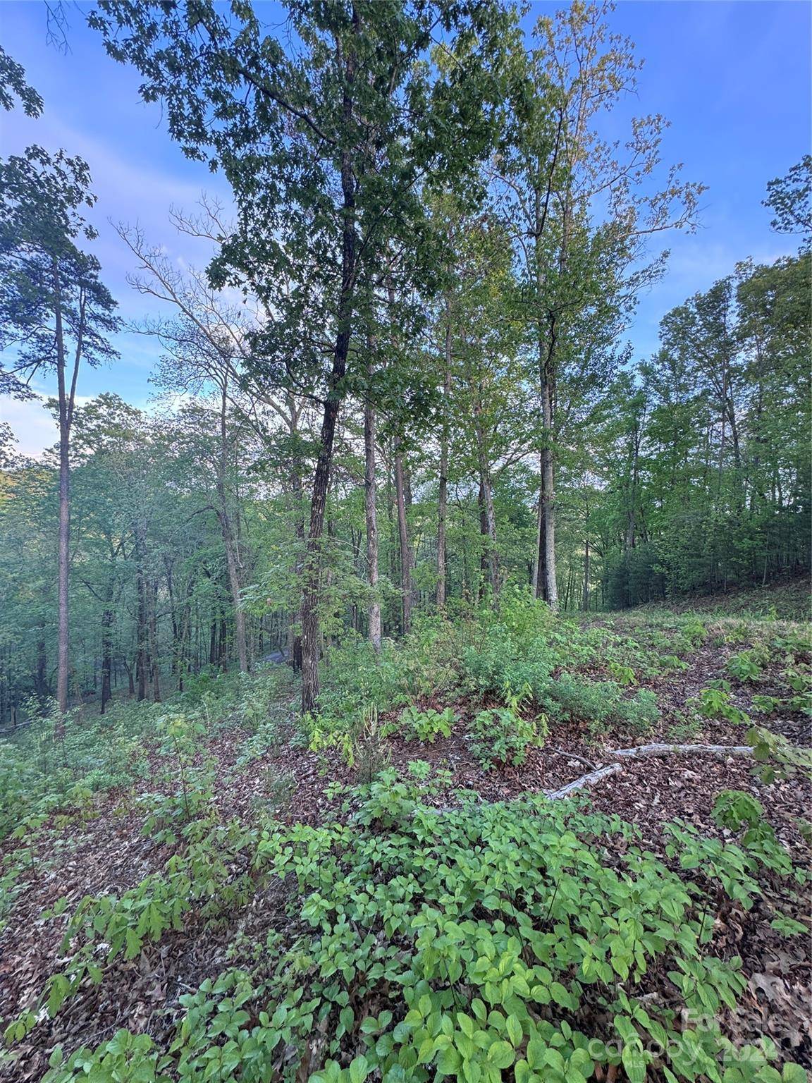 0 Willow Top LN #315, Lake Lure, NC 28746
