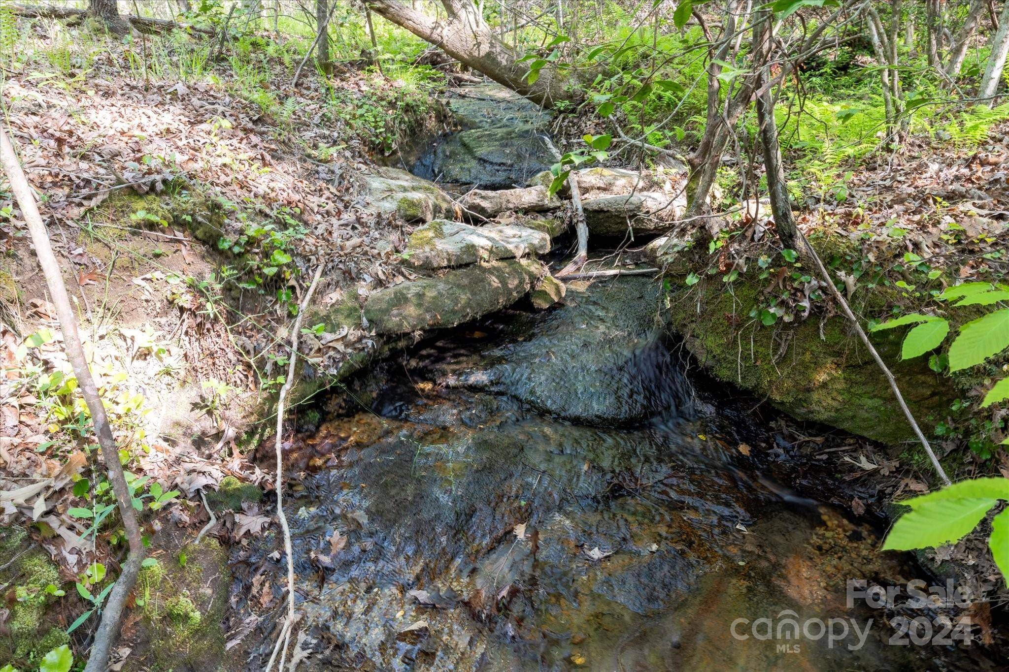 99999 Shady Bark LN #41, Rutherfordton, NC 28139