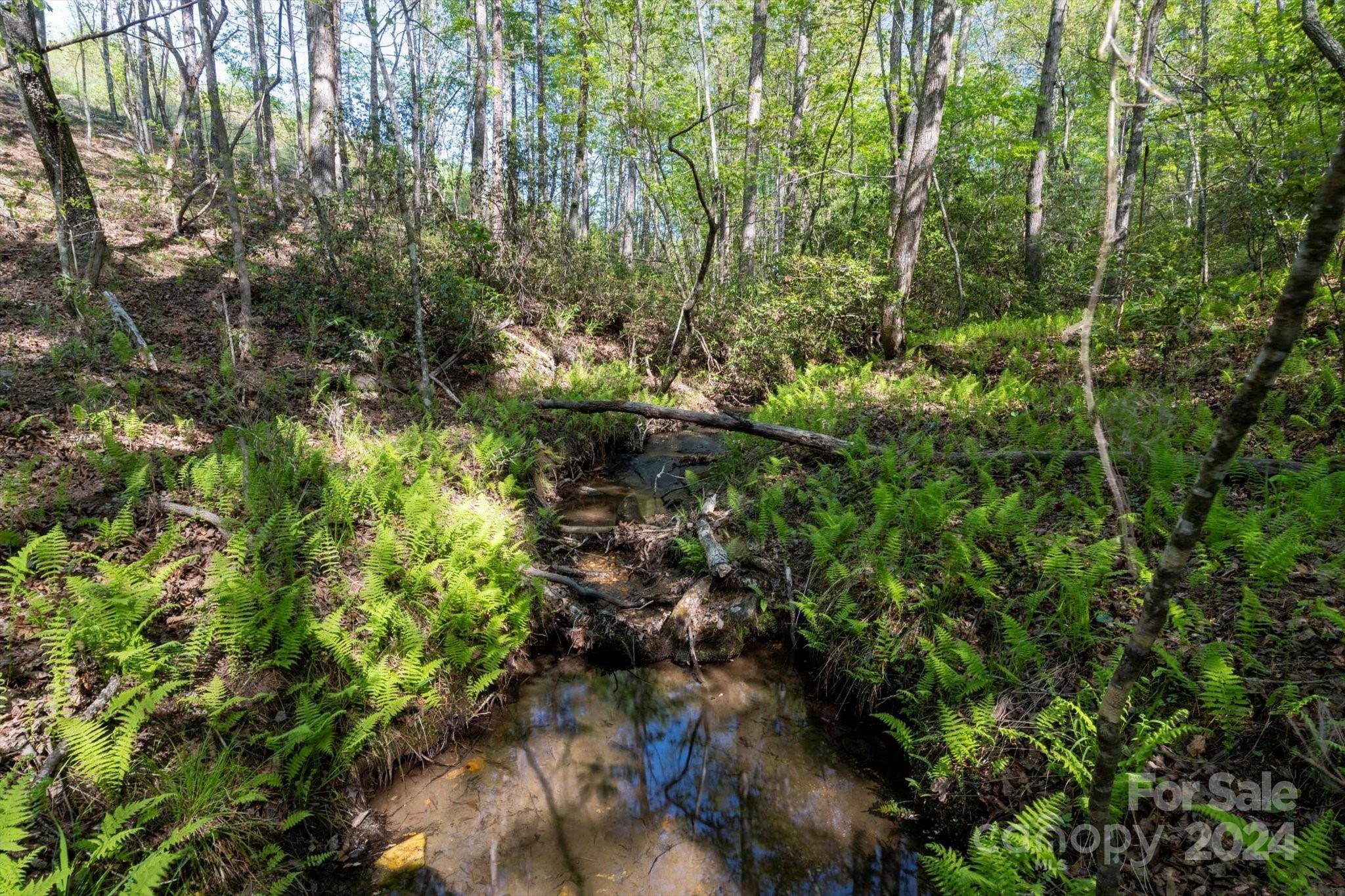 99999 Shady Bark LN #41, Rutherfordton, NC 28139
