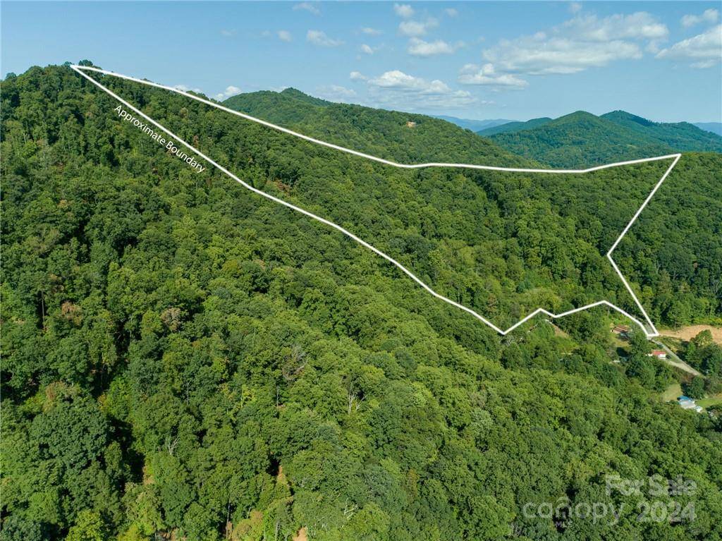 58 Grooms RD, Candler, NC 28715