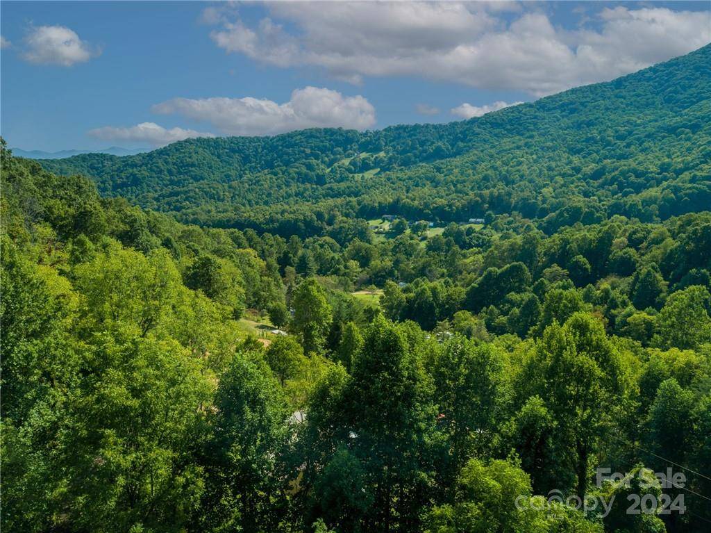 58 Grooms RD, Candler, NC 28715