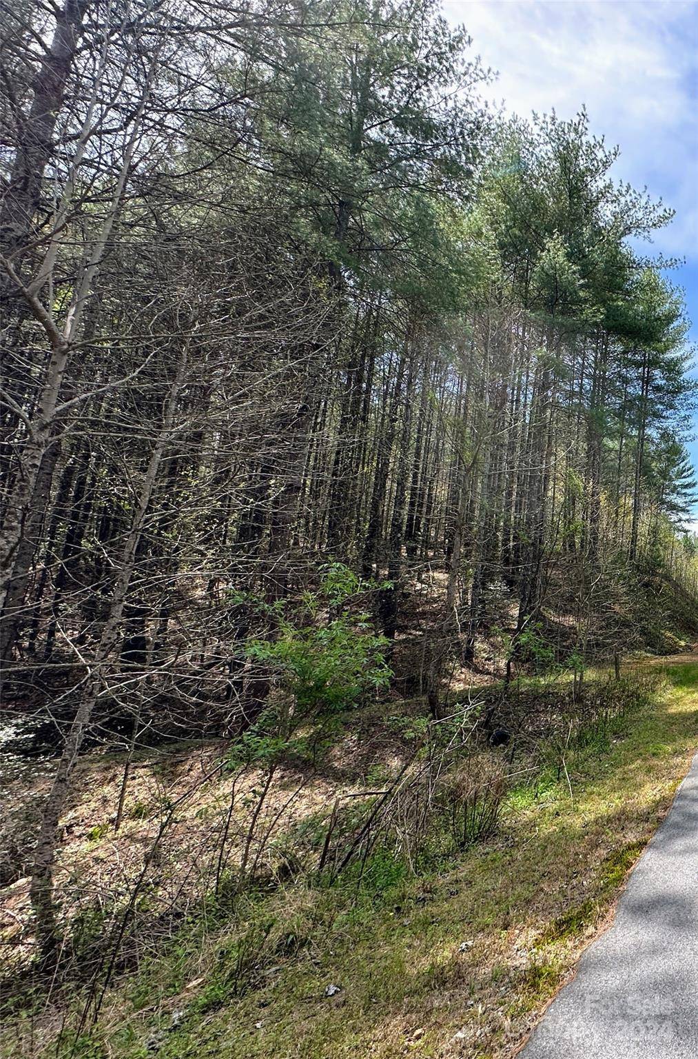 0 National Forest DR #132, Lenoir, NC 28645