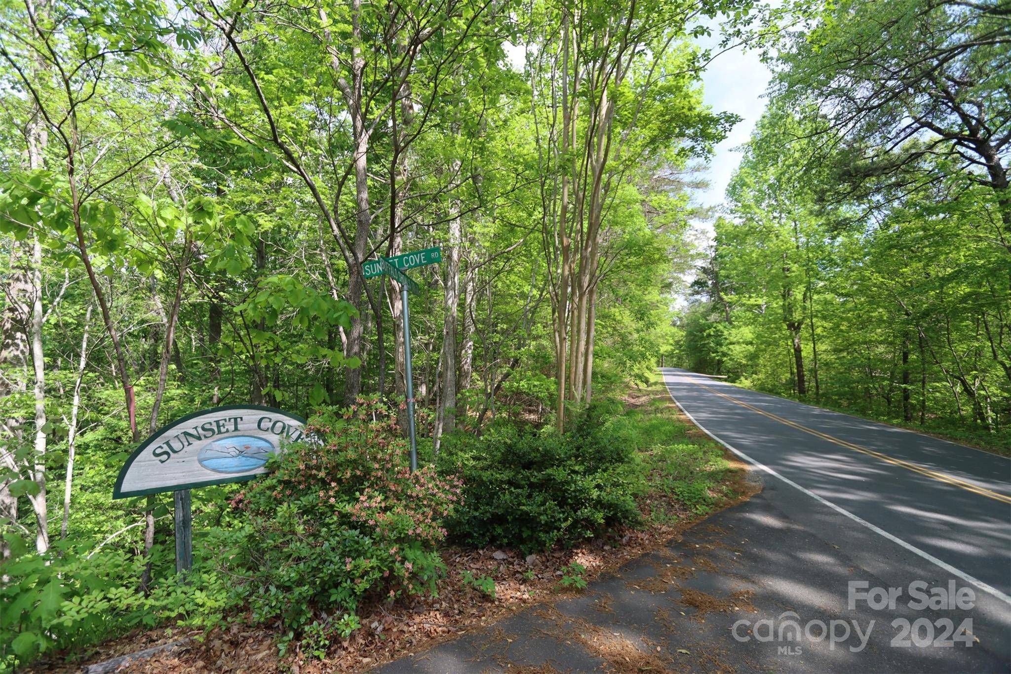 00 Buffalo Shoals RD, Lake Lure, NC 28746