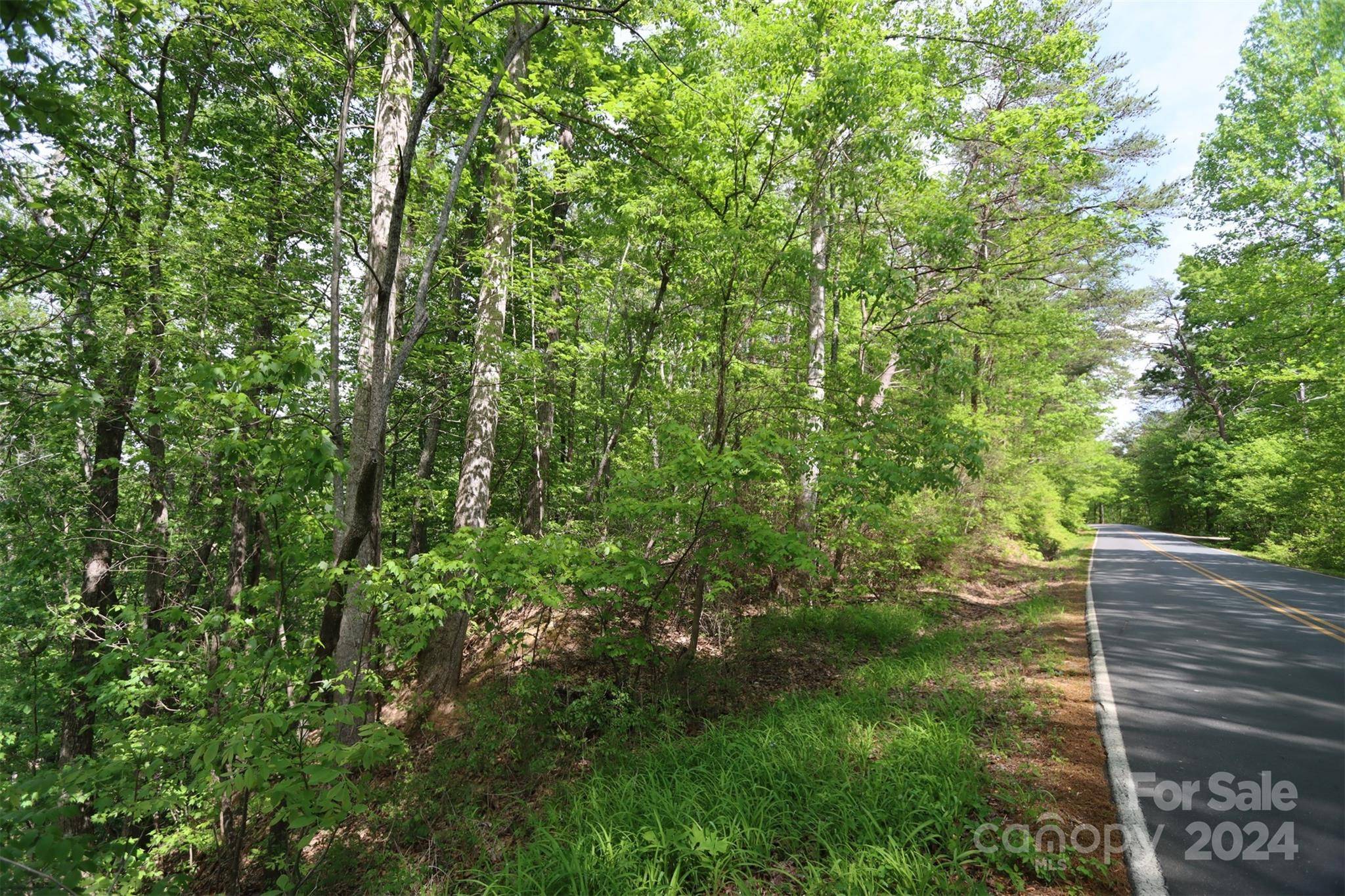 00 Buffalo Shoals RD, Lake Lure, NC 28746