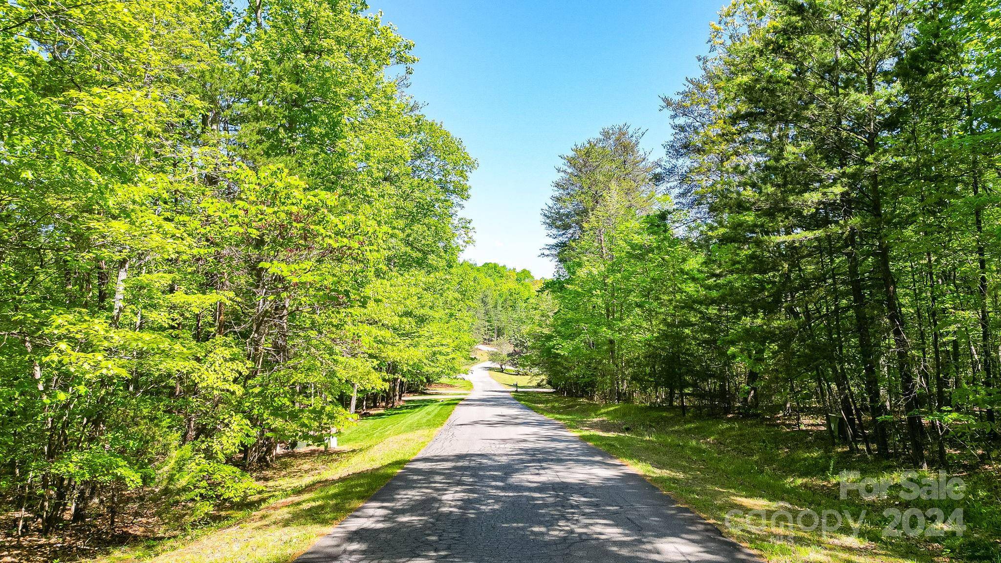 0 W T Wilkins RD #11, Rutherfordton, NC 28139