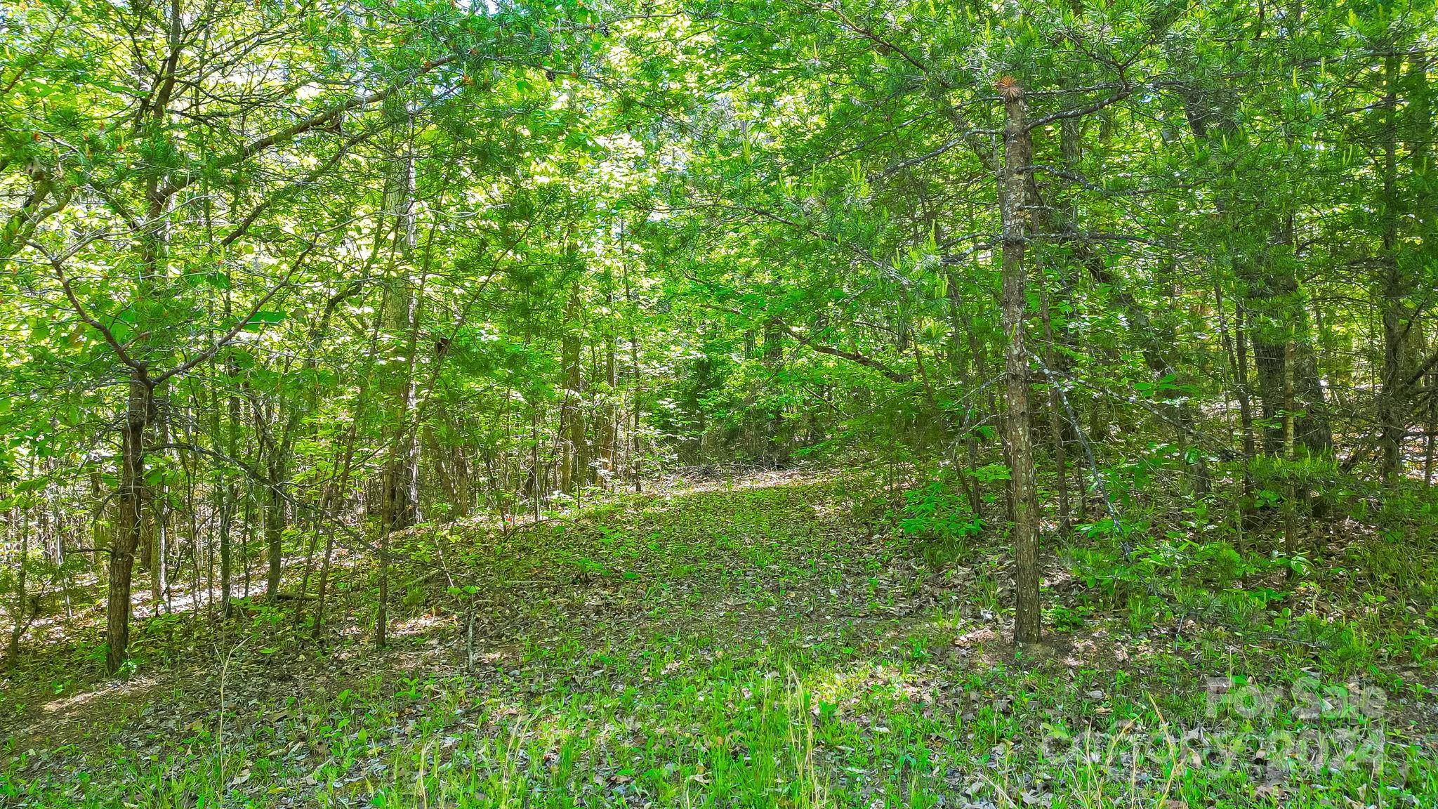 0 W T Wilkins RD #11, Rutherfordton, NC 28139