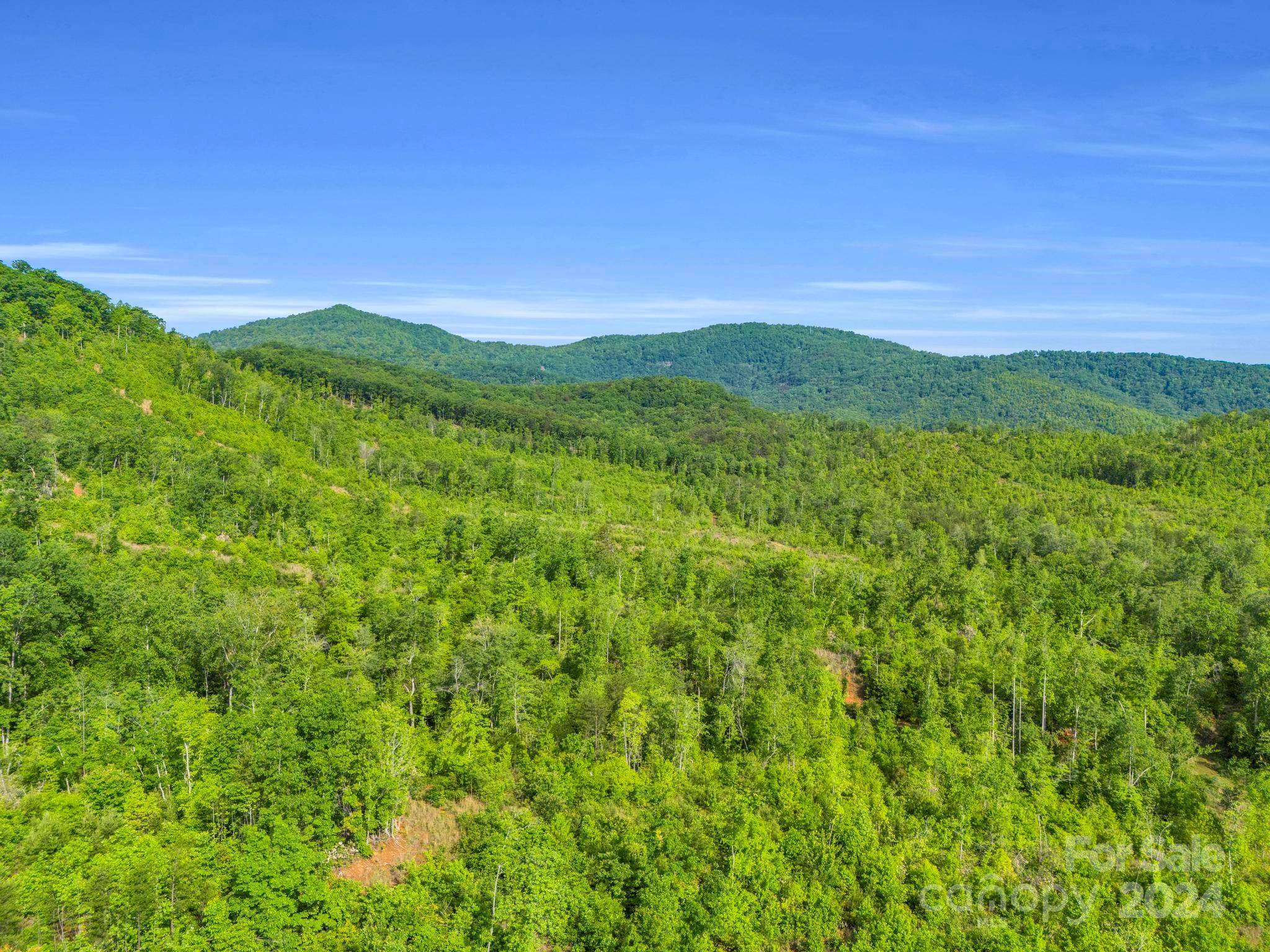 0 Bills Creek RD, Lake Lure, NC 28746