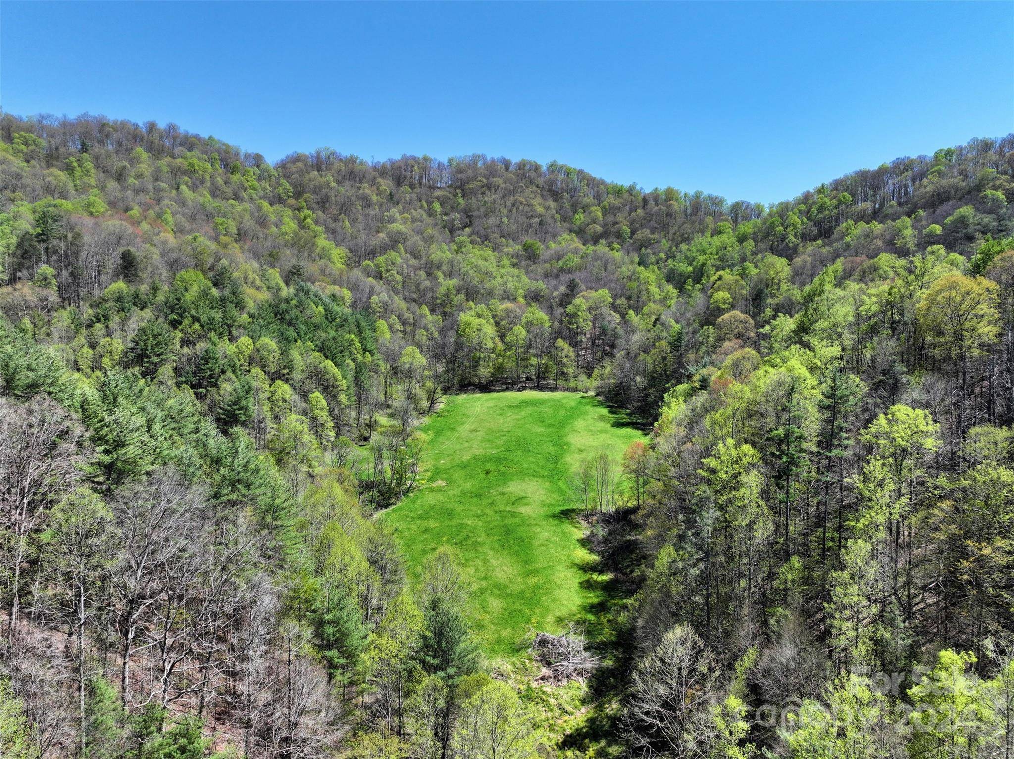 2180 Pigeon Roost RD, Green Mountain, NC 28740