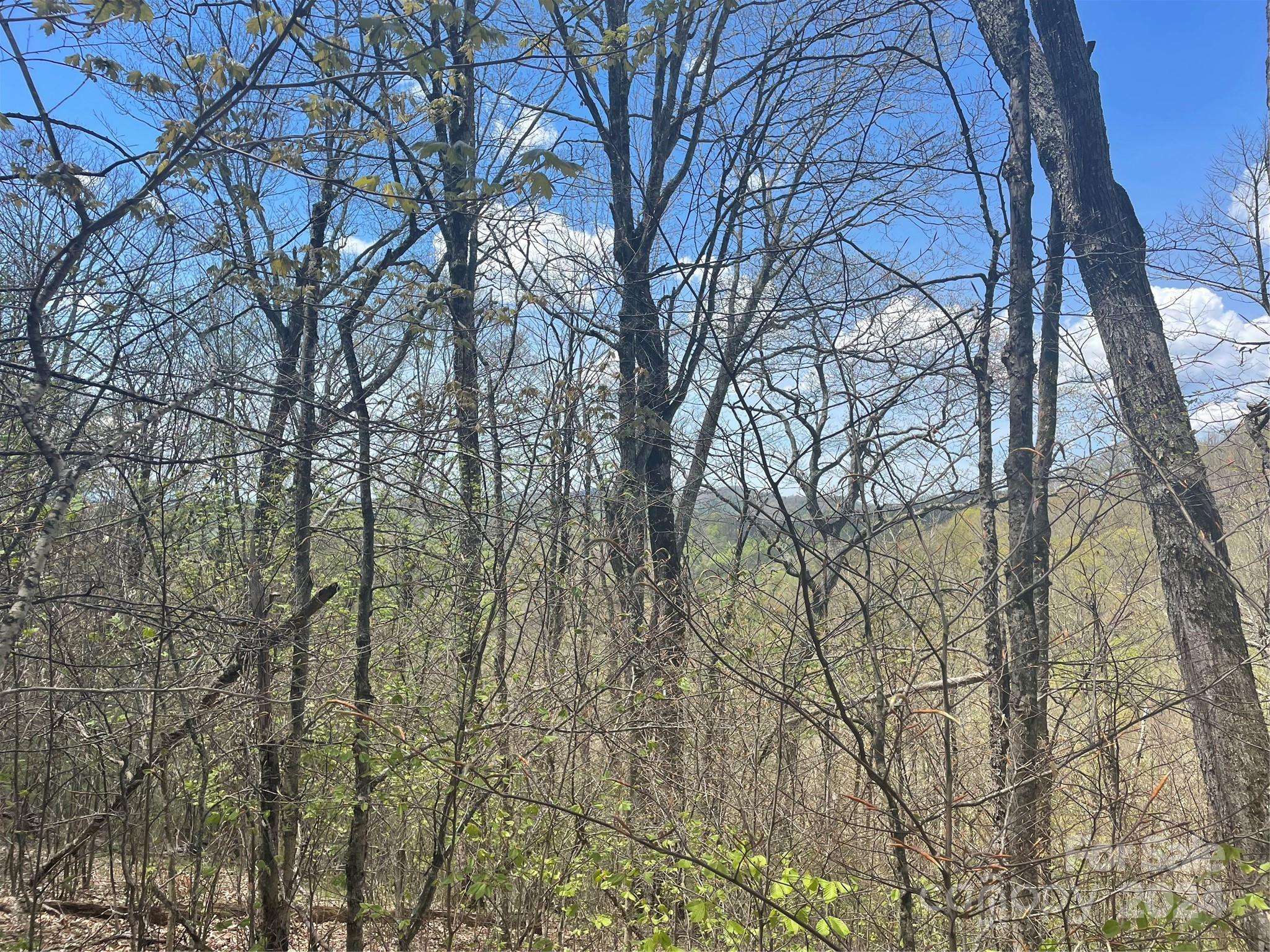 000 El Miner DR #515, Mars Hill, NC 28754