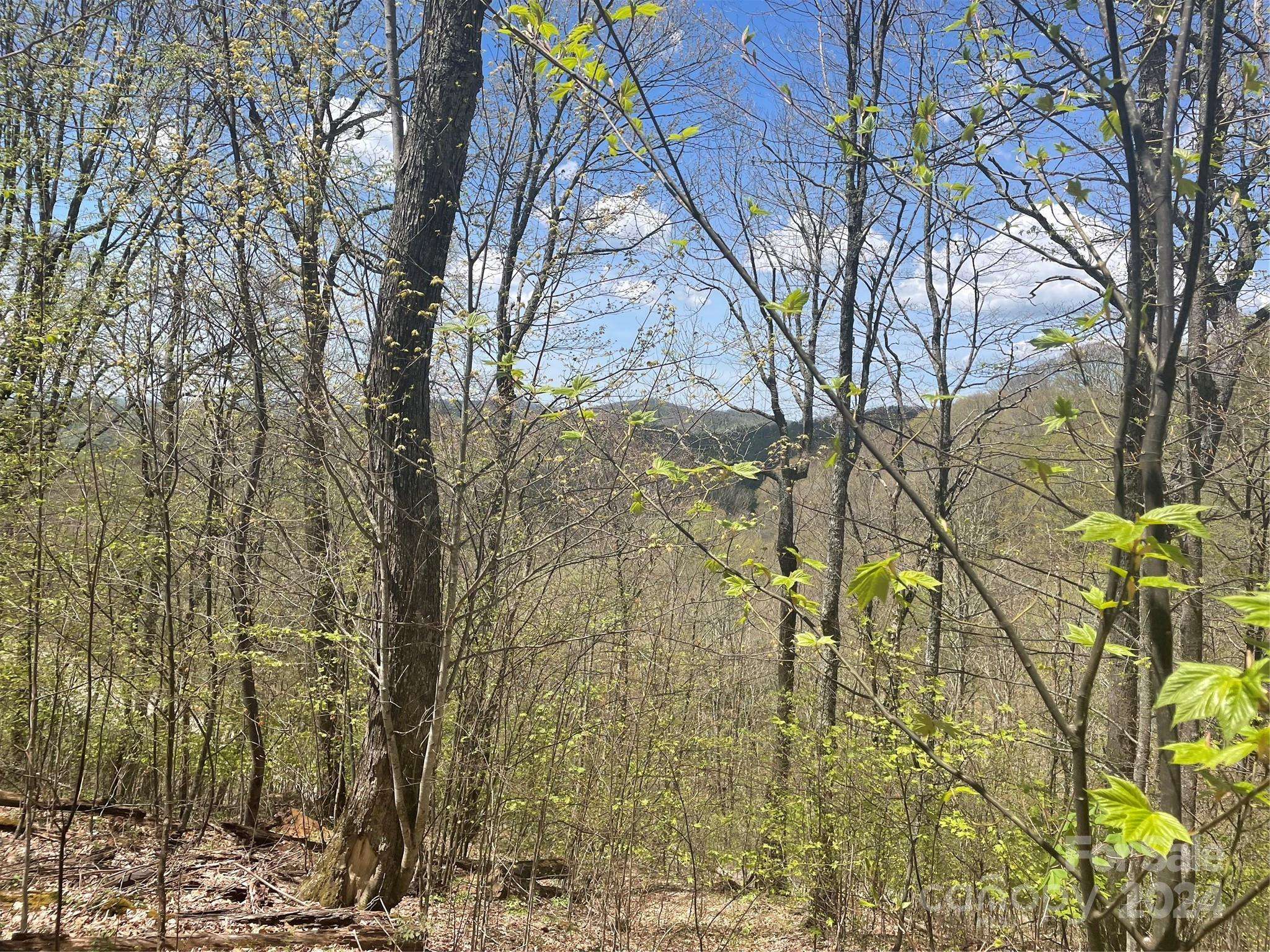 000 El Miner DR #515, Mars Hill, NC 28754