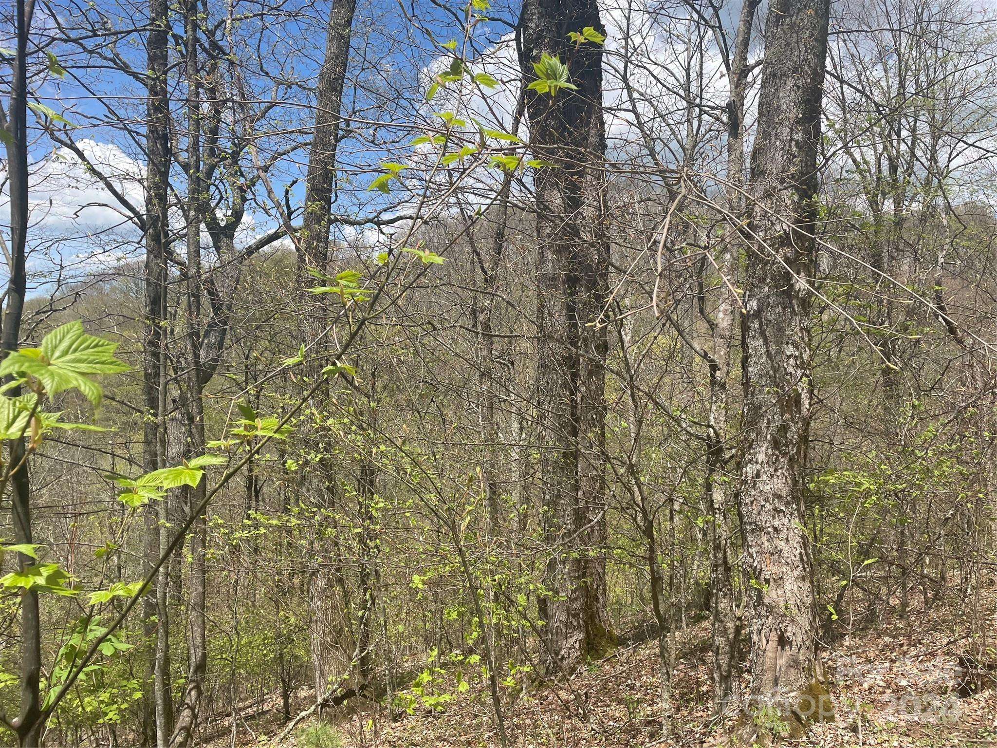 000 El Miner DR #515, Mars Hill, NC 28754