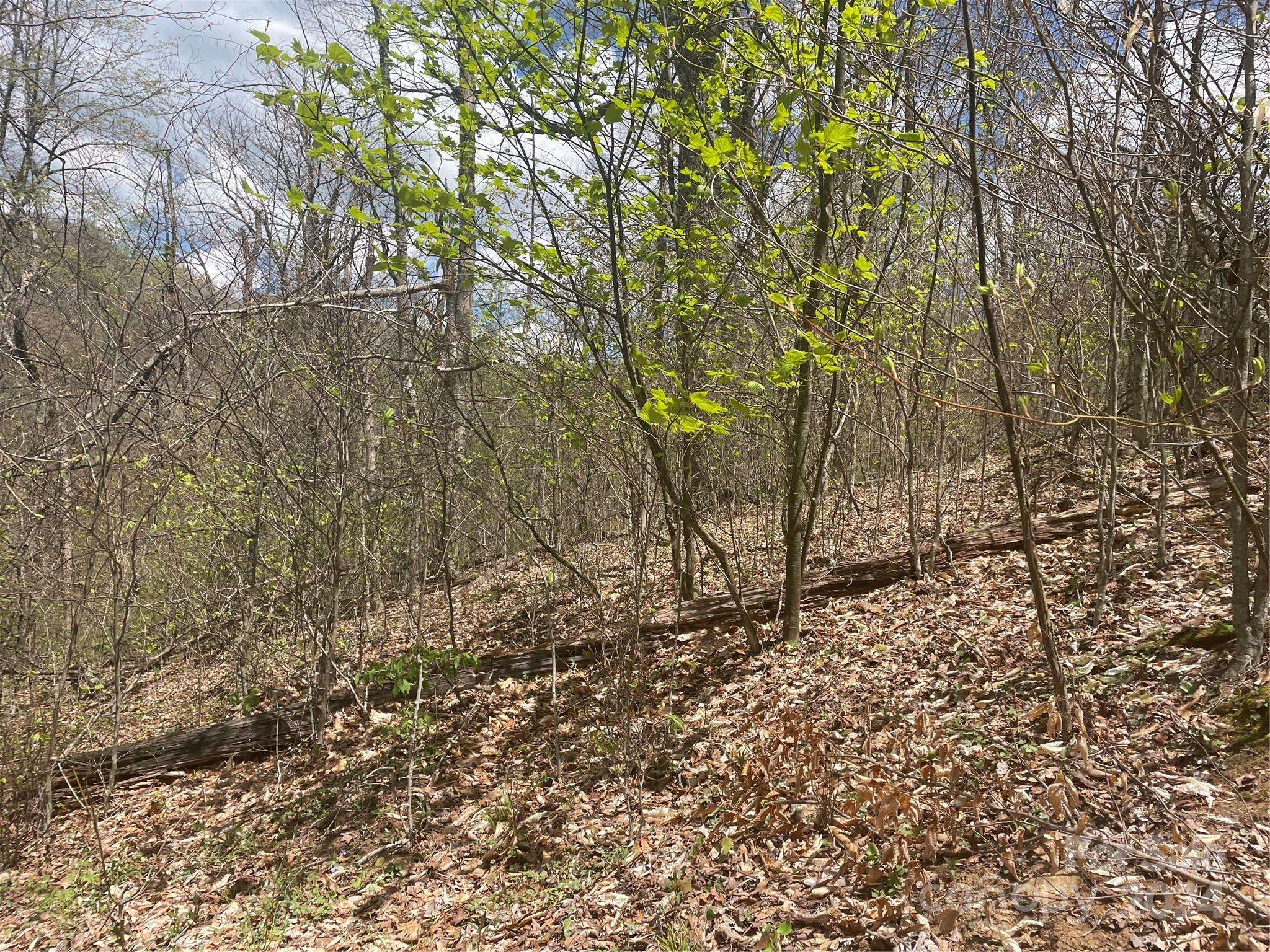 000 El Miner DR #516, Mars Hill, NC 28754