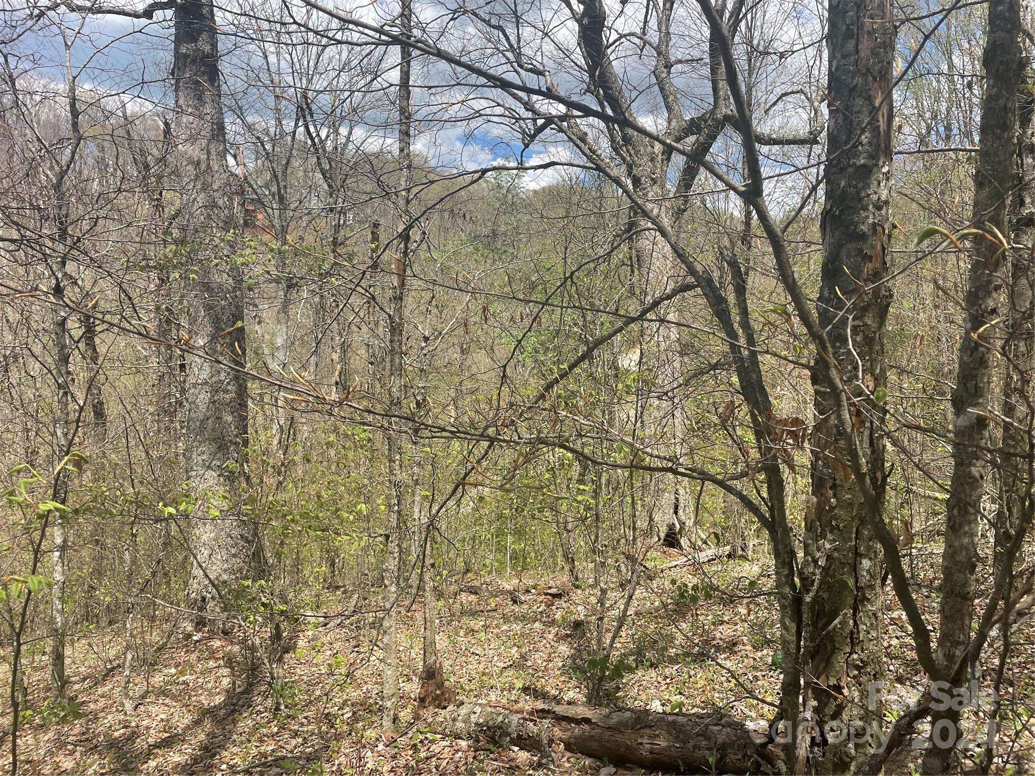 000 El Miner DR #516, Mars Hill, NC 28754